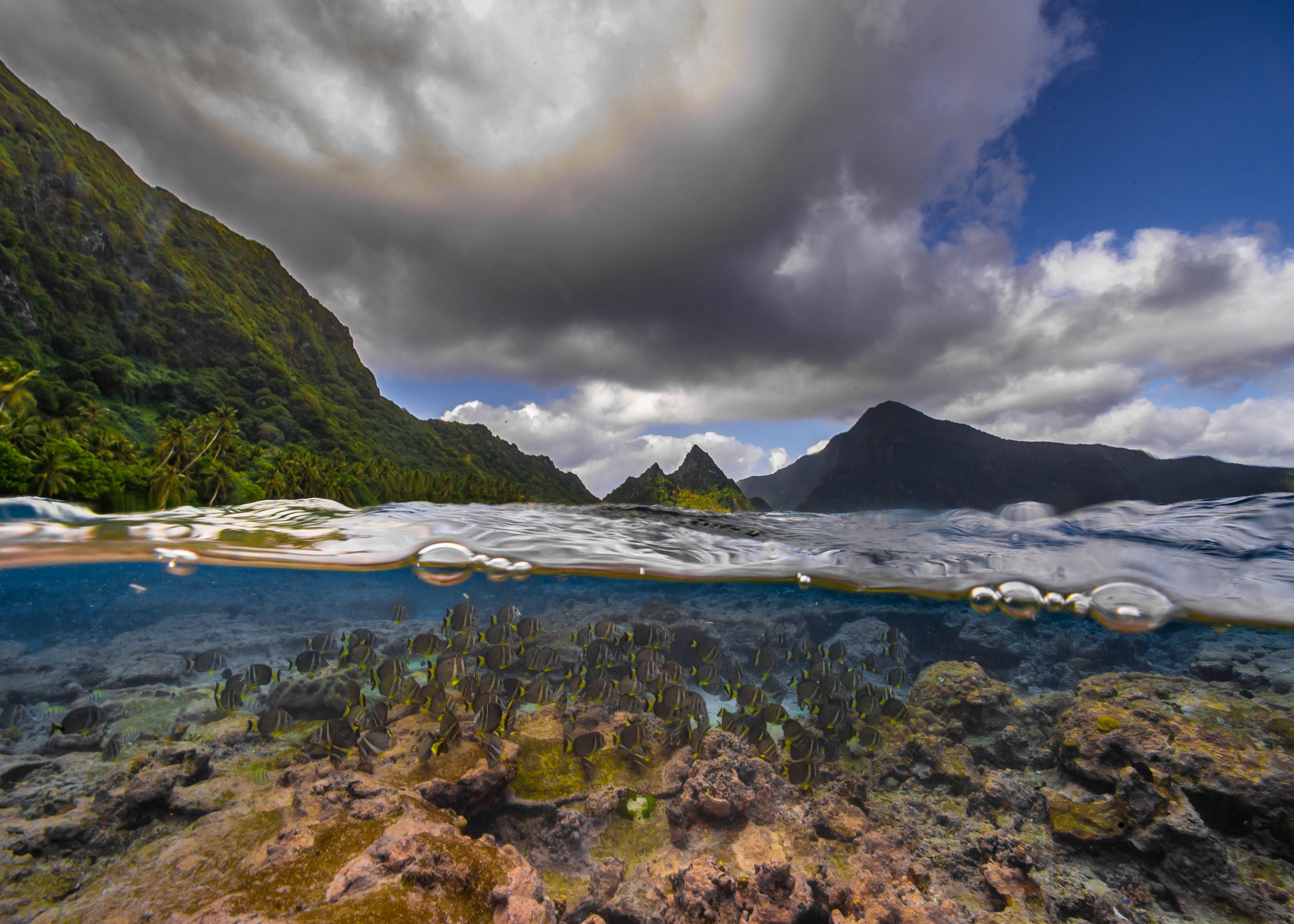 American samoa credit: shaun wolfe / CORAL REEF IMAGE BANK