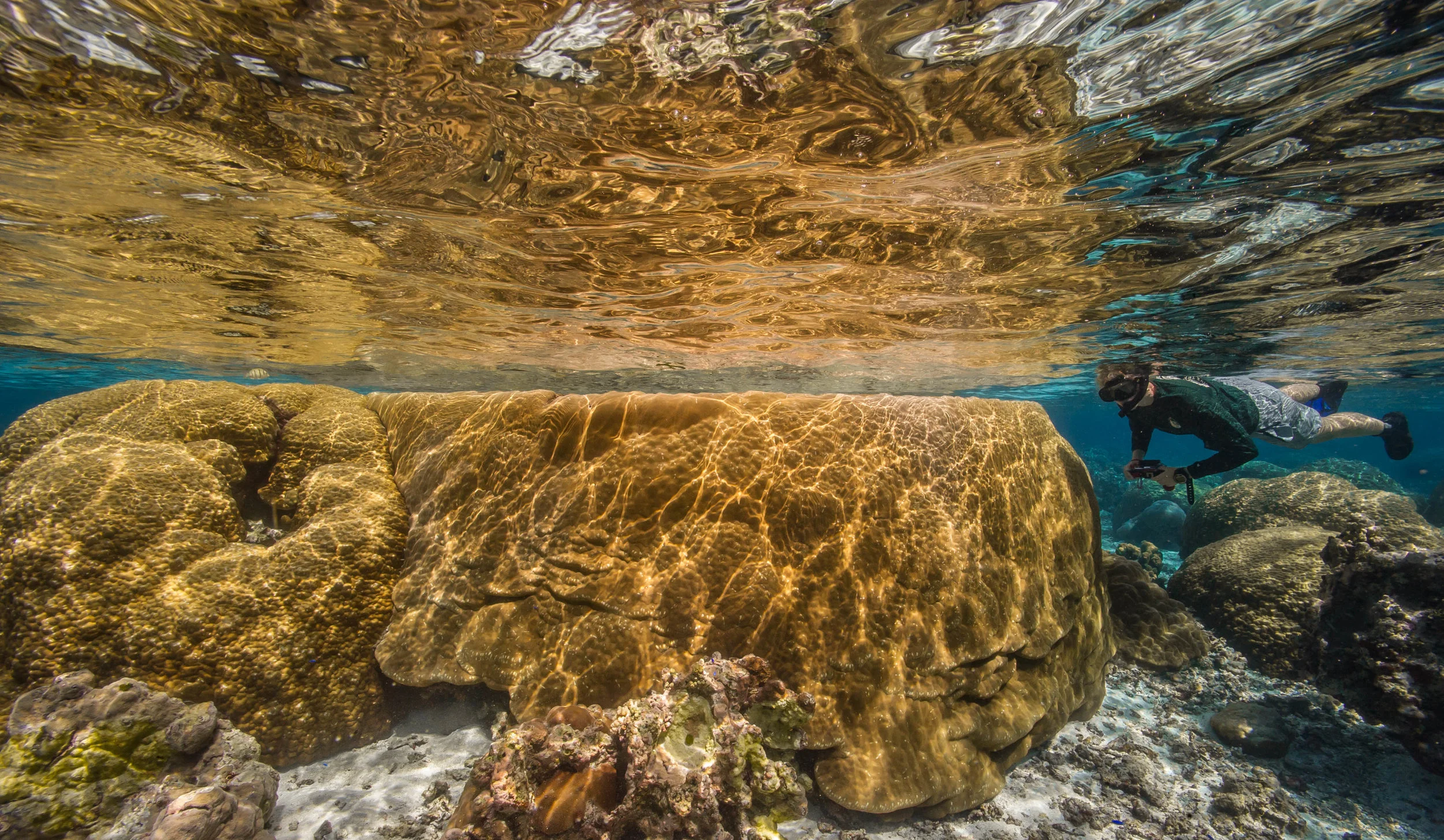 American samoa credit: shaun wolfe / CORAL REEF IMAGE BANK