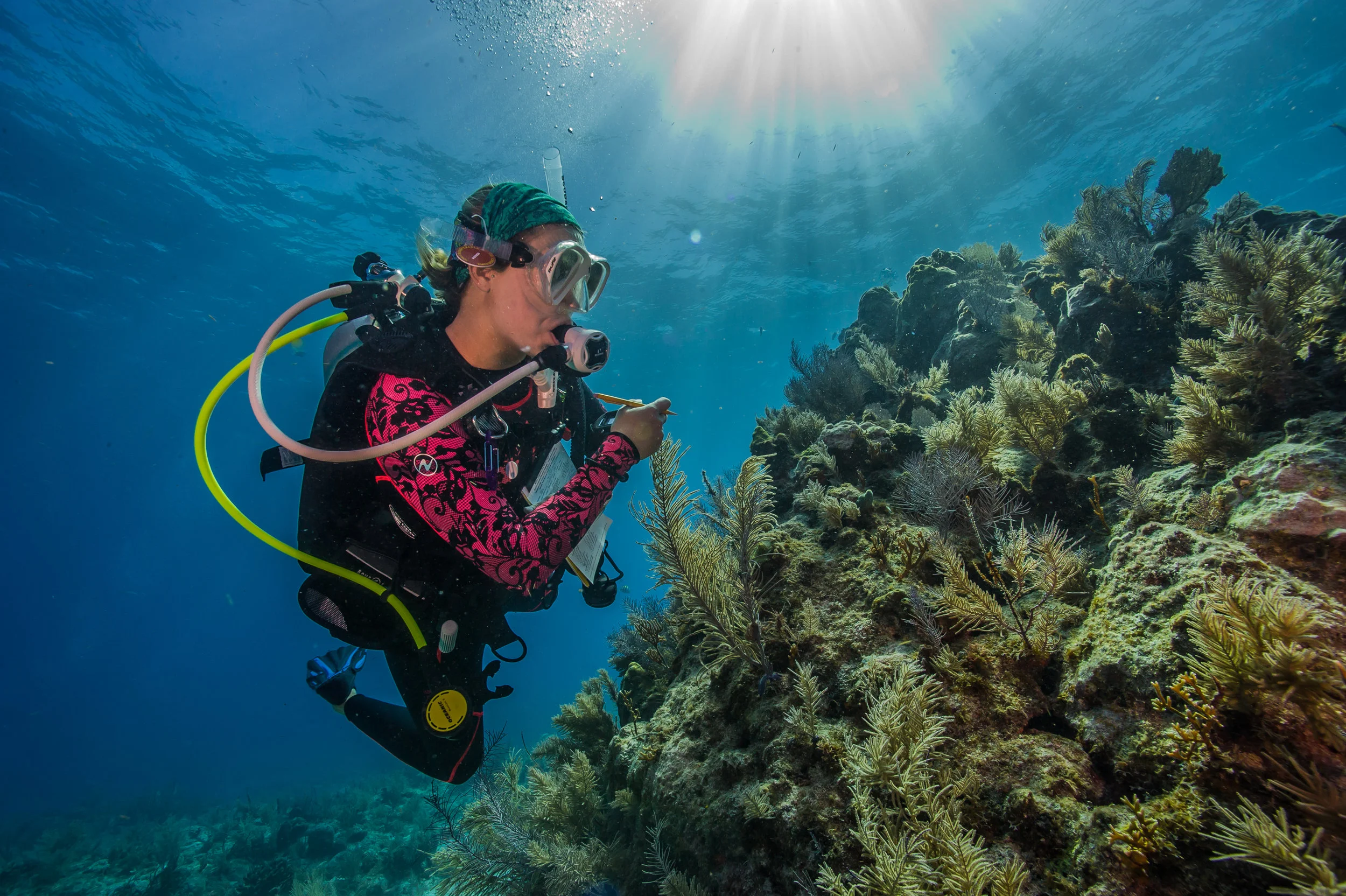 florida keys national park credit: shaun wolfe / coral reef image bank