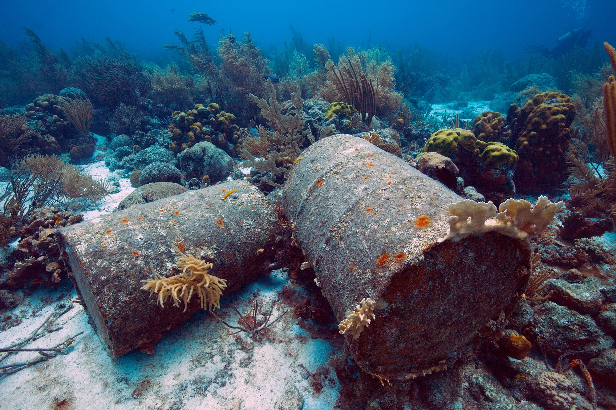 Discarded oil drums litter the bottom in Grenada CREDIT: Jill heinerth / coral reef image bank
