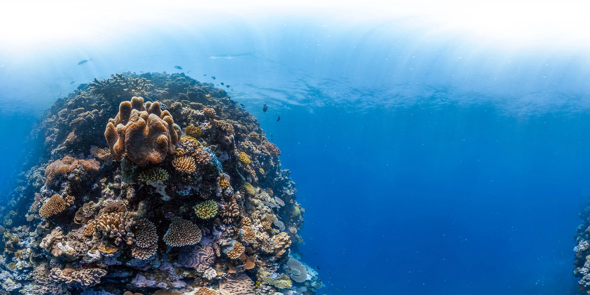 north broken passage, GREAT BARRIER REEF CREDIT: THE OCEAN AGENCY / XL CATLIN SEAVIEW SURVEY