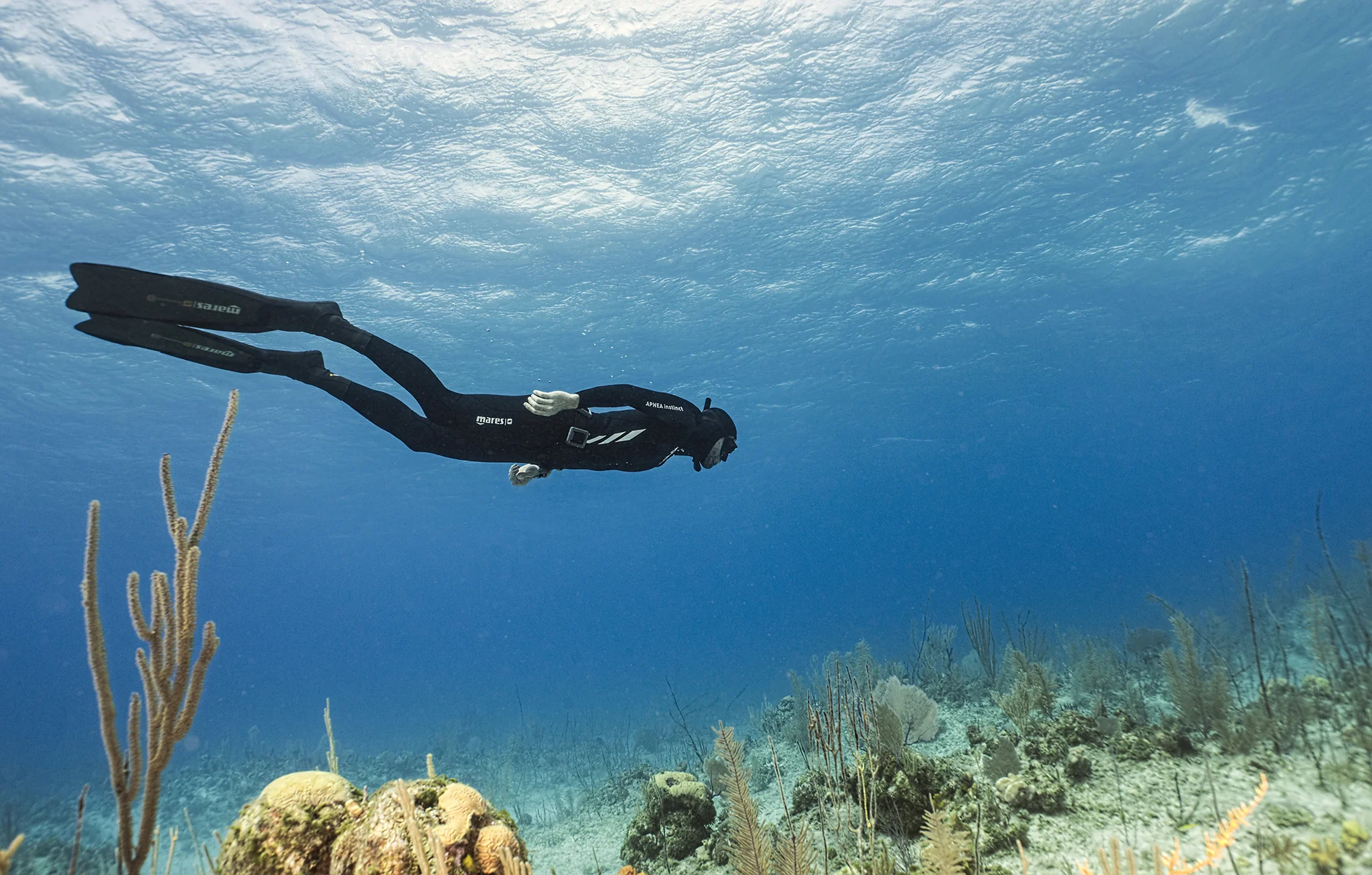 freediver credit: Amanda cotton / coral reef image bank