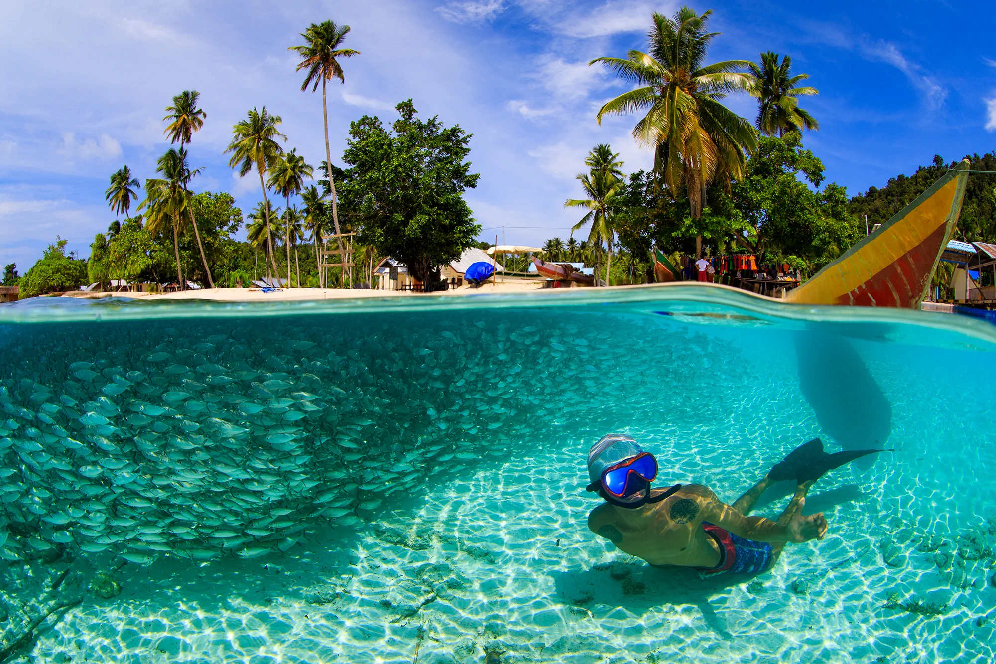 RAJA AMPAT, INDONESIA CREDIT: YEN-YI LEE / CORAL REEF IMAGE BANK
