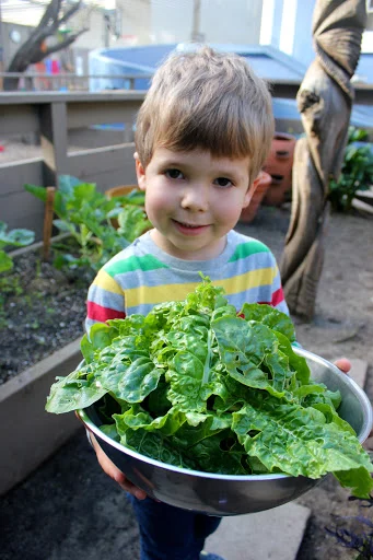Harvesting and Stone Soup for International Feast Day