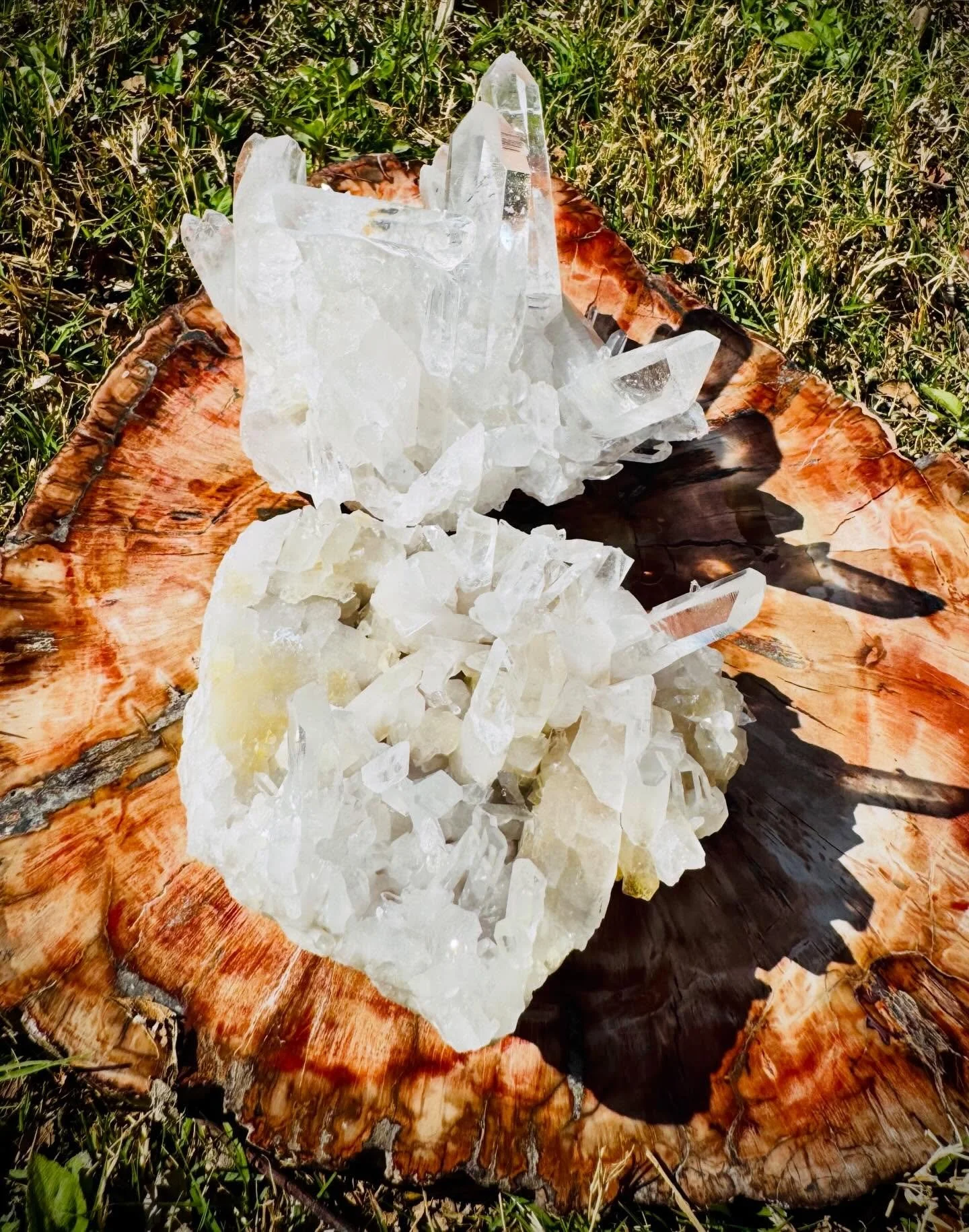 We traveled from the earth of Arkansas 🤍

We are keepers of clarity,
amplifiers of intention,
holders of light.

Sit with us.
Let your field soften.
You are supported.