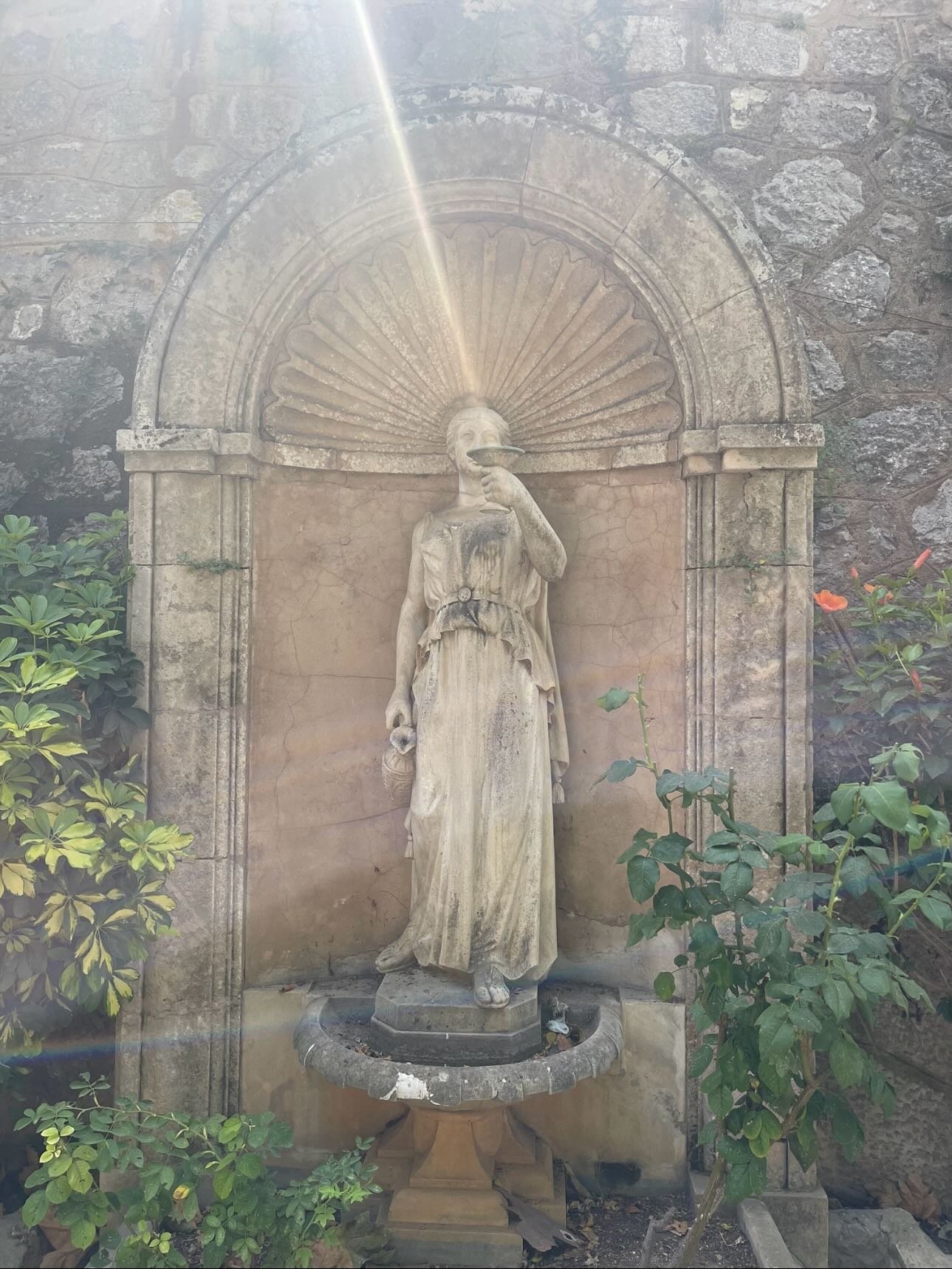 Golden light in S&oacute;ller, Mallorca ✨

A reminder of the sacred feminine found in quiet gardens, candlelit basilicas, ancient stone, and within ourselves.

To all mothers, nurturers, healers, and heart holders &hellip;
may your cup be filled.

wi