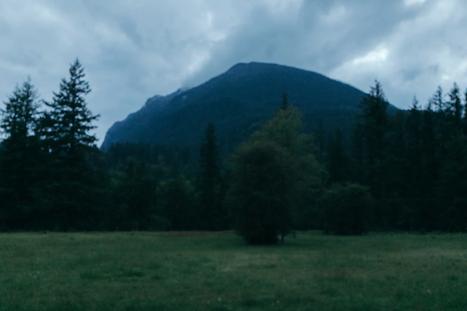 northbend_washington_engagement_session-0869.jpg