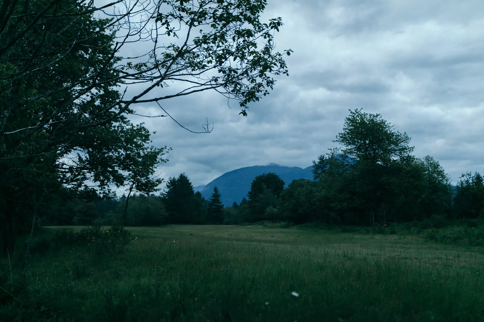 northbend_washington_engagement_session-0860.jpg