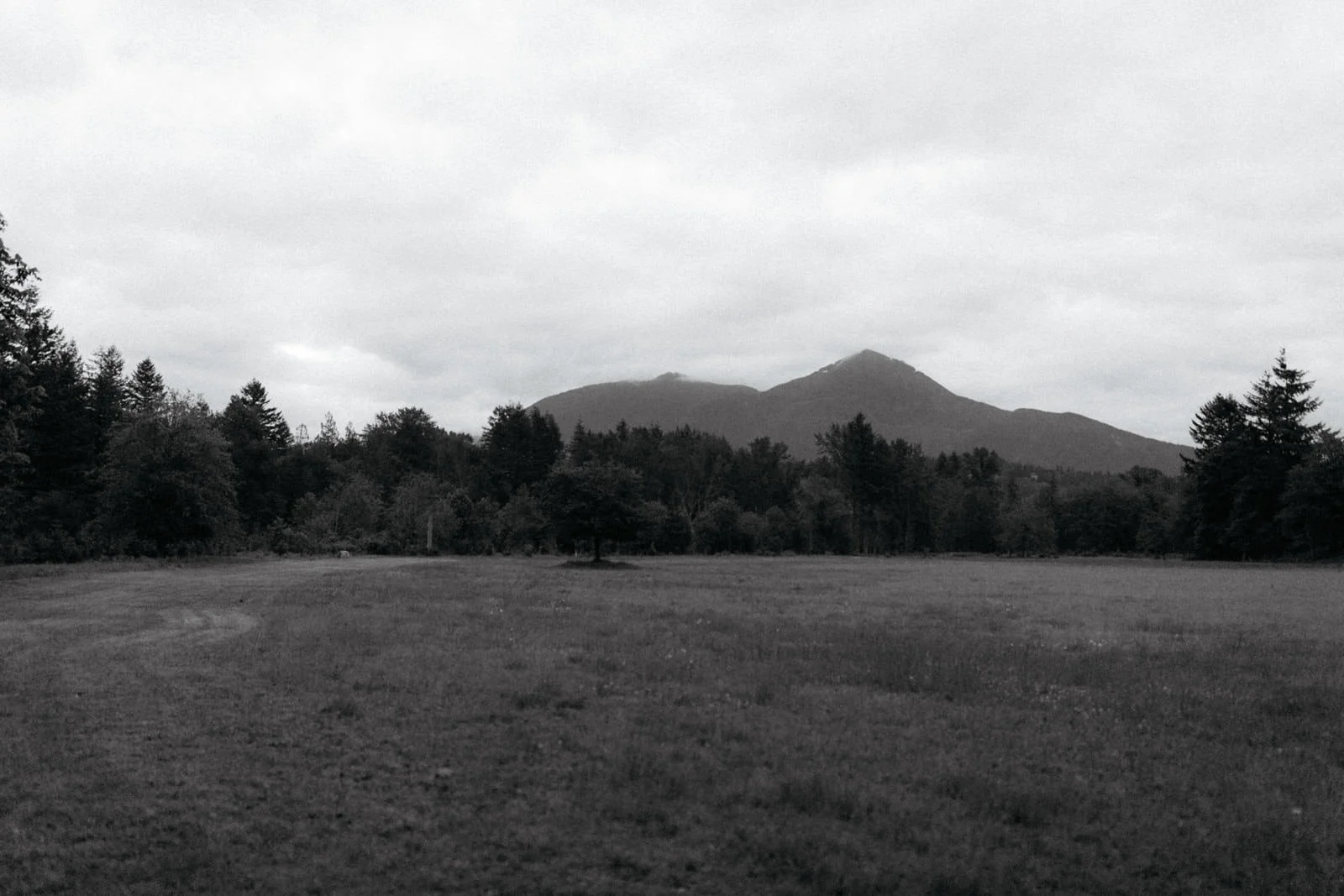 northbend_washington_engagement_session-0956-2.jpg