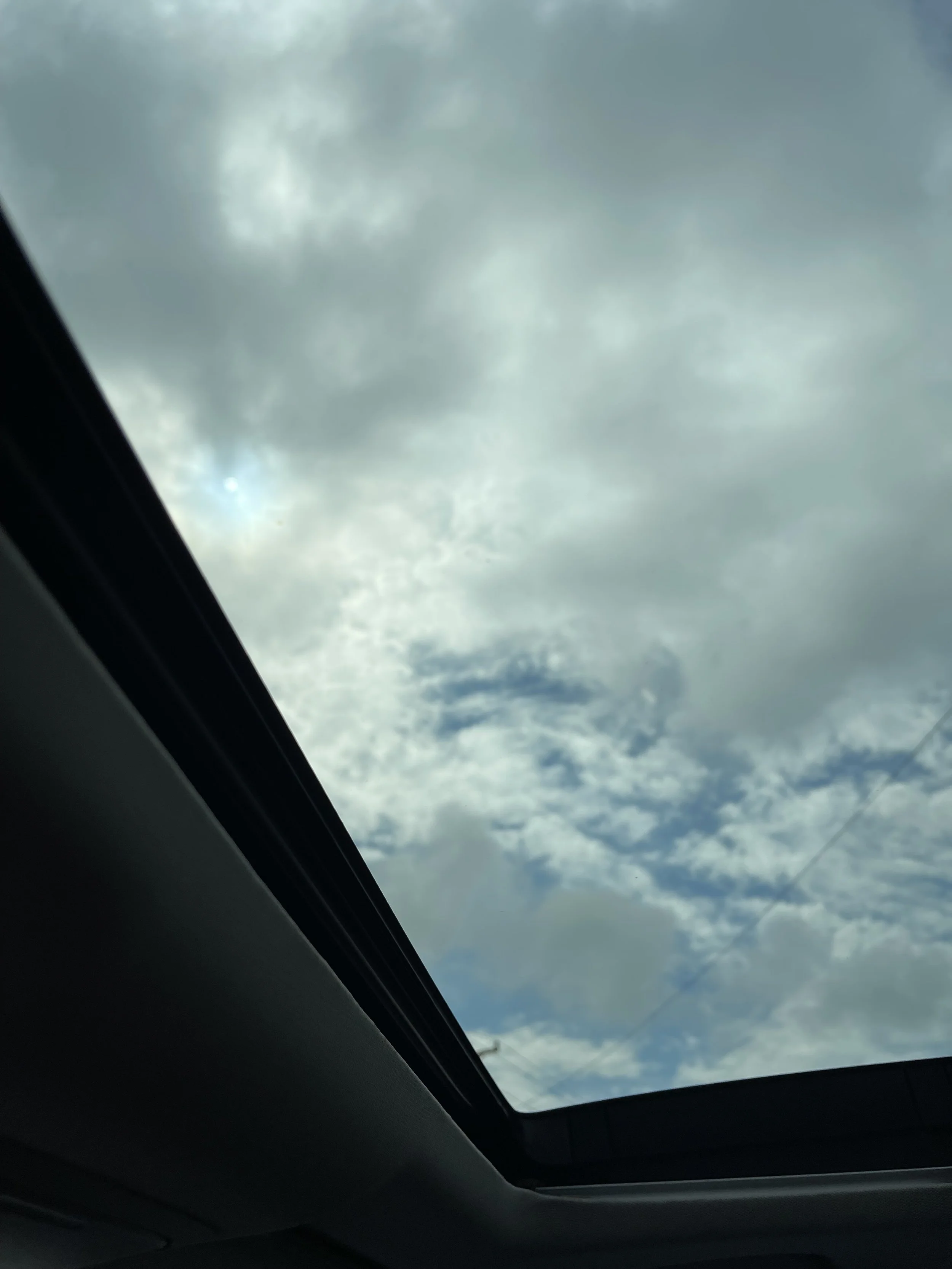 IMG_7088.jpeg