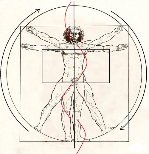 The Vitruvian Man by Leonardo da Vinci