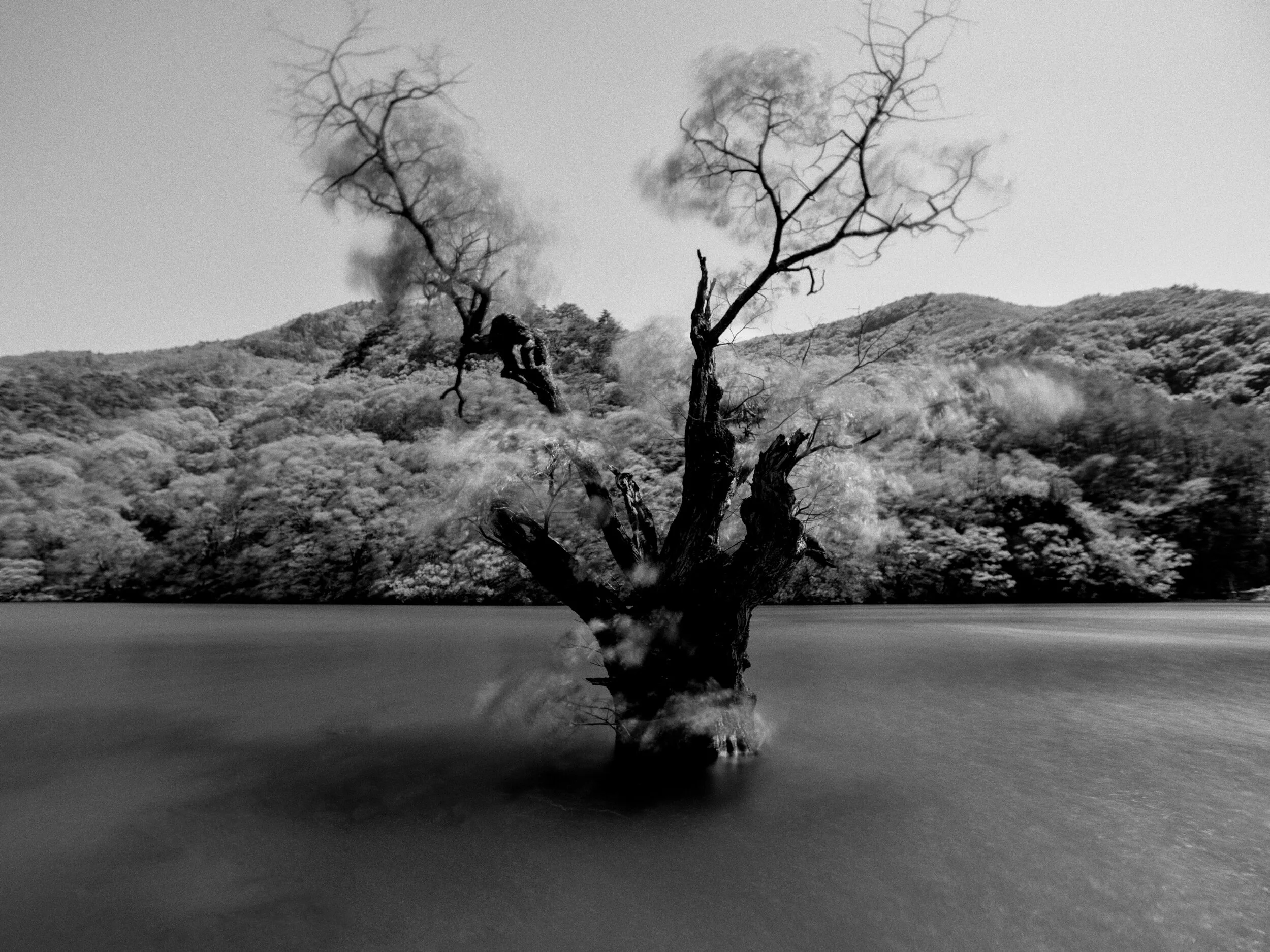 DSC09191-Edit-Edit-Edit.jpg