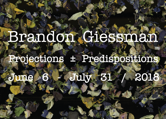 WEB_Giessmann-01.png