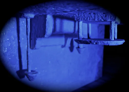 ceilWEB.jpg