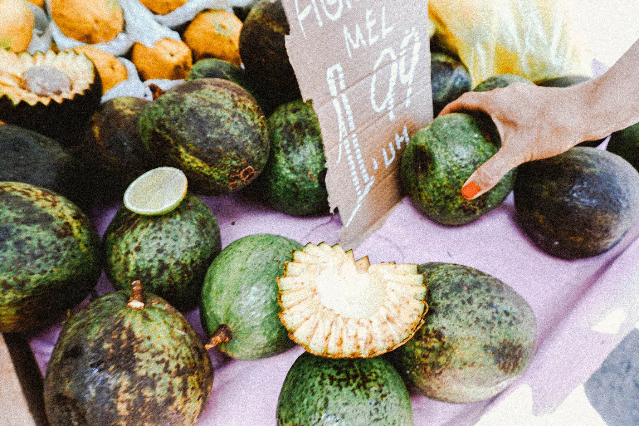 Avocados… some as big as your head!