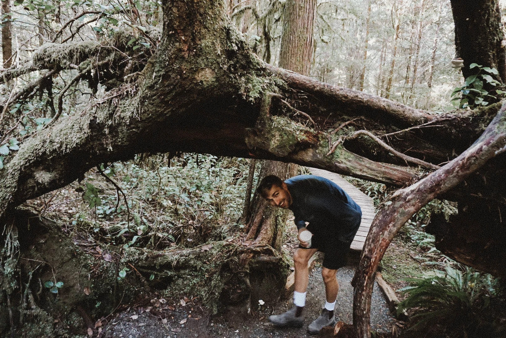LRG_DSC06607.jpg