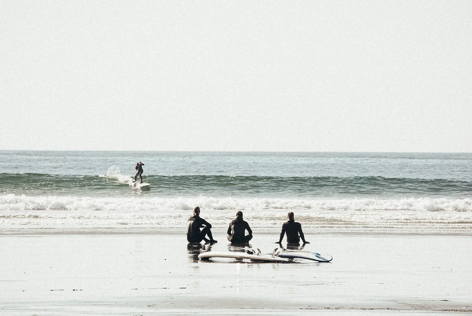 LRG_DSC06295.jpg