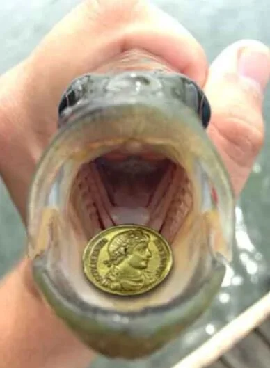 benedict xvi fish temple tax hook Hook, Line, and Caesar — Cuyler Black