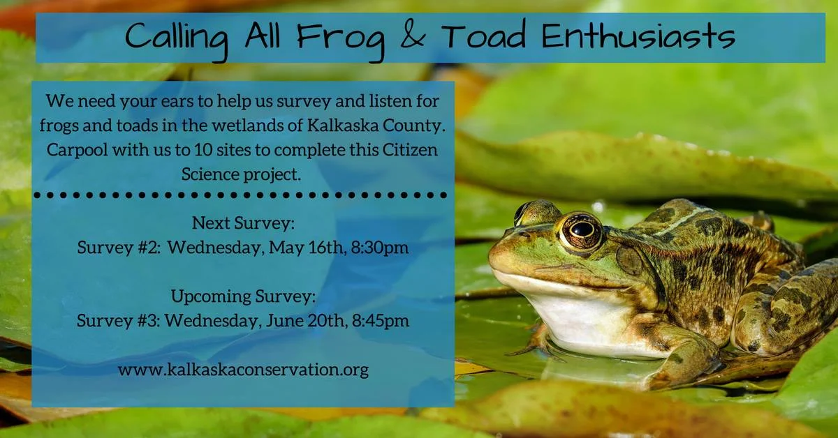 Frog and Toad Survey #2