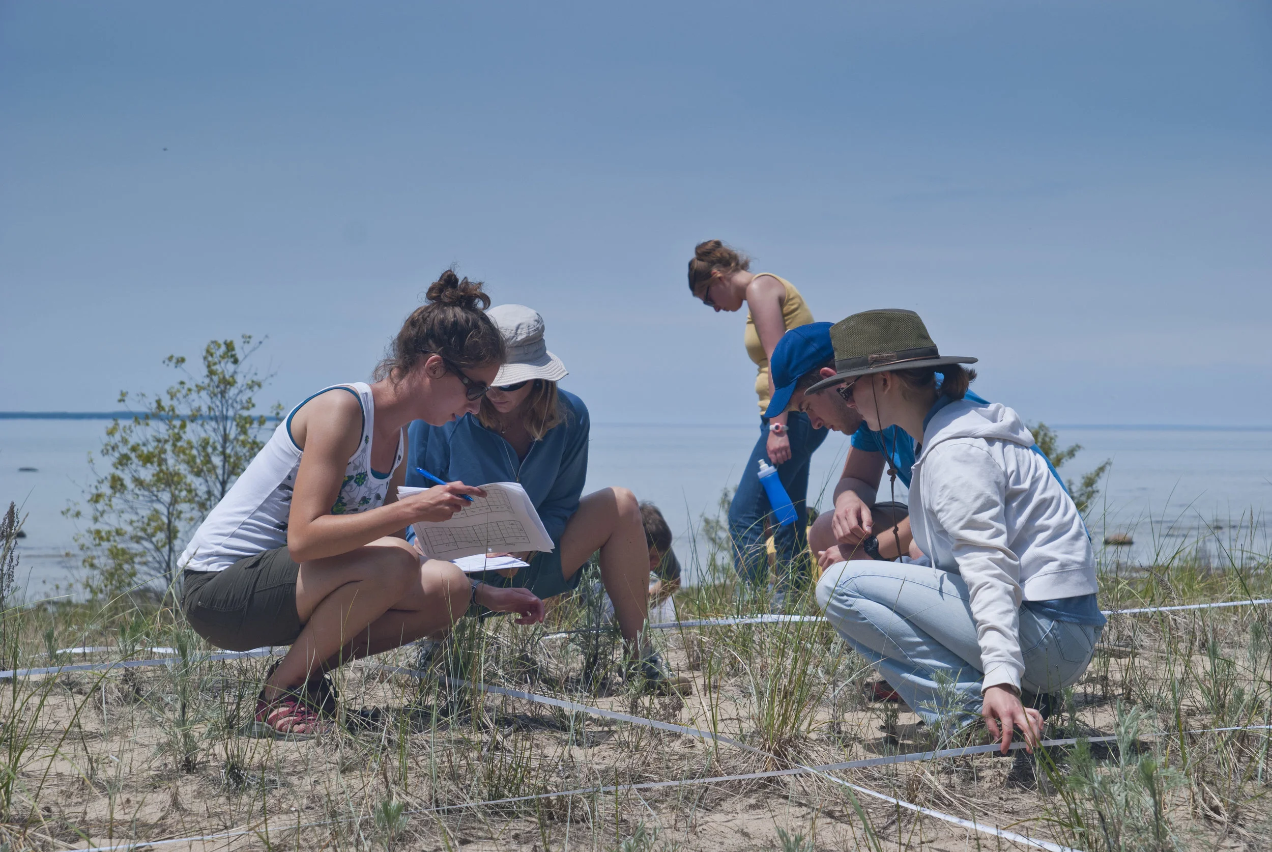 Conservation Biology — Au Sable Institute