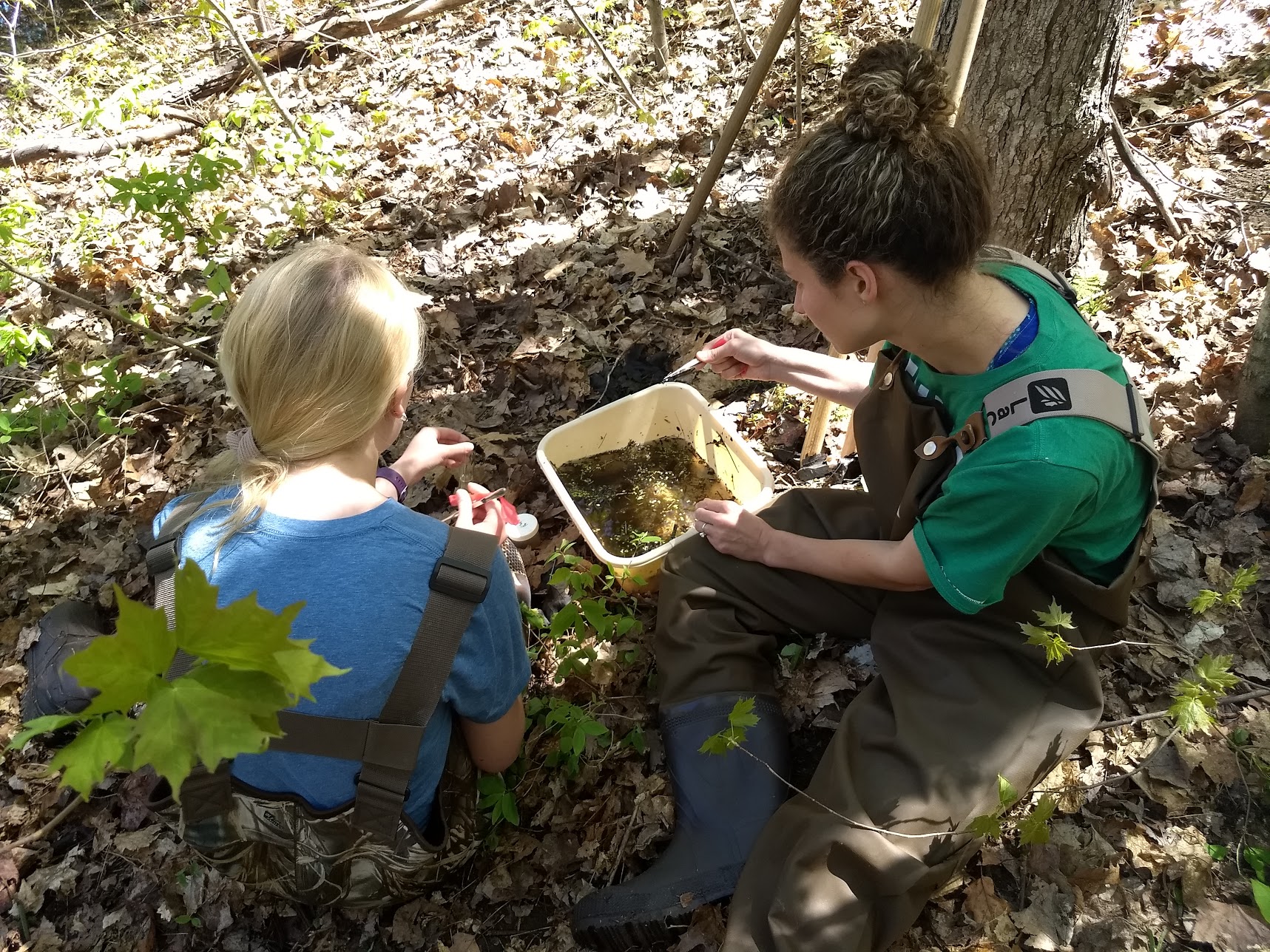 2018 vernal pool.jpg