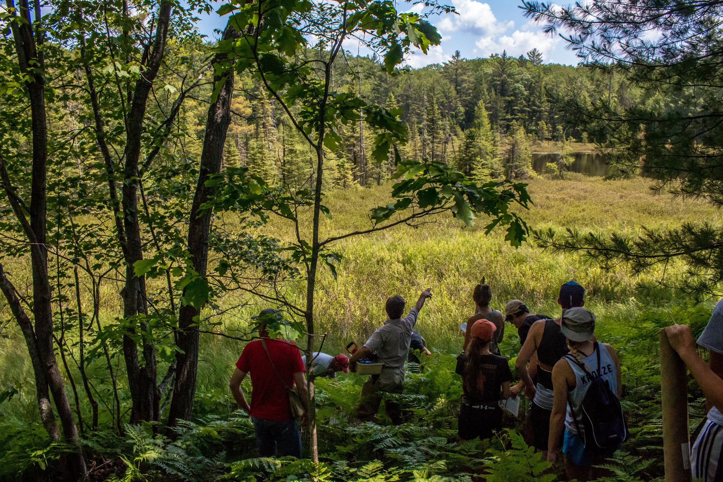 Au Sable Launches New Course in Forest Management — Au Sable Institute