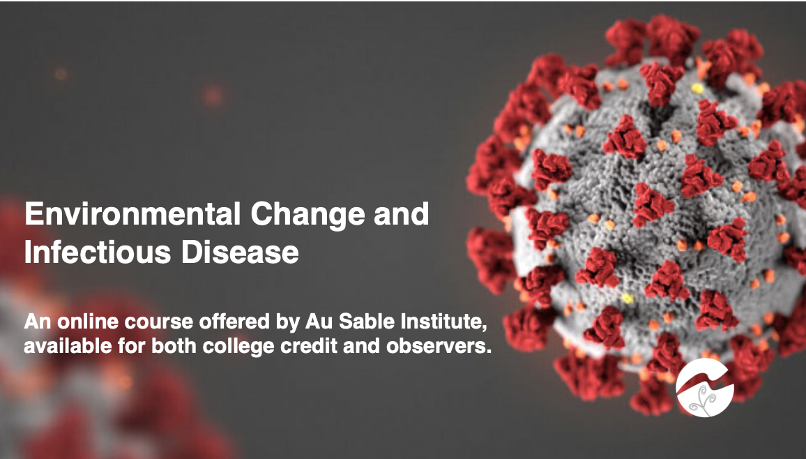 Screen Shot 2020-07-07 at 11.56.16 AM.png