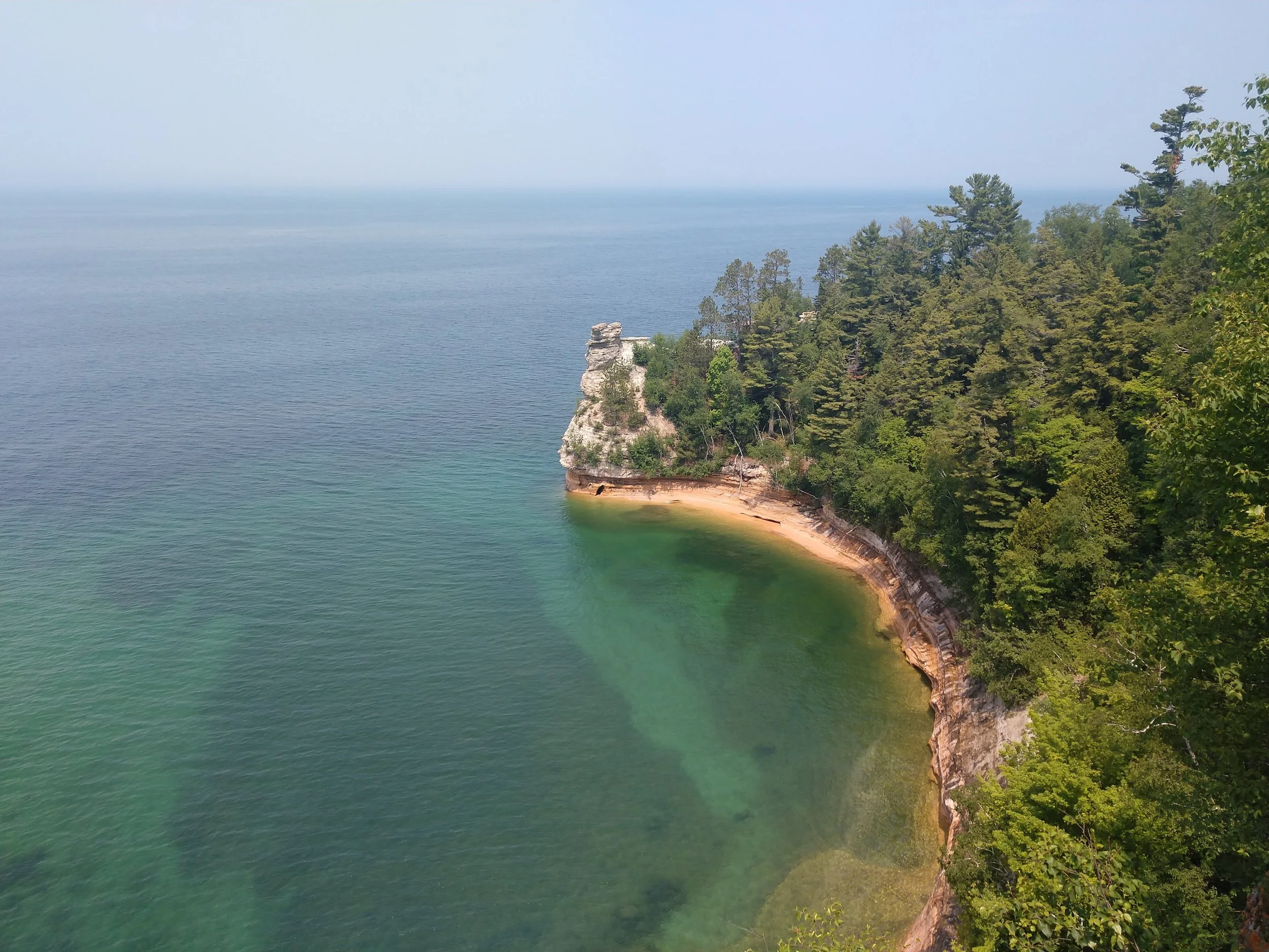 Open Faculty Position : Applied Conservation Field Skills