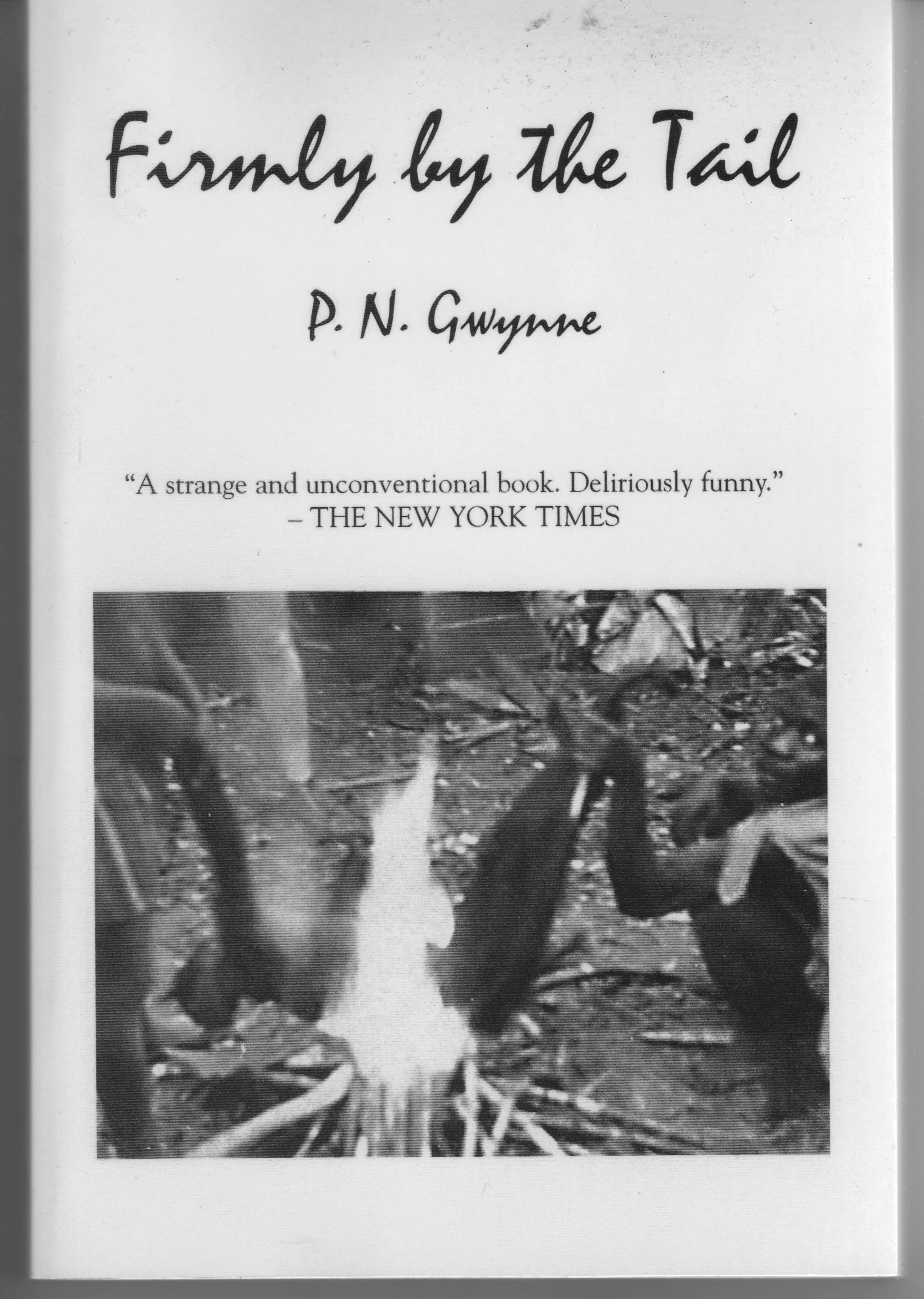 Photo taken by the author; dinner chez our hosts and sometime employees, the Baka pygmies, southwestern Central African Republic, 1972