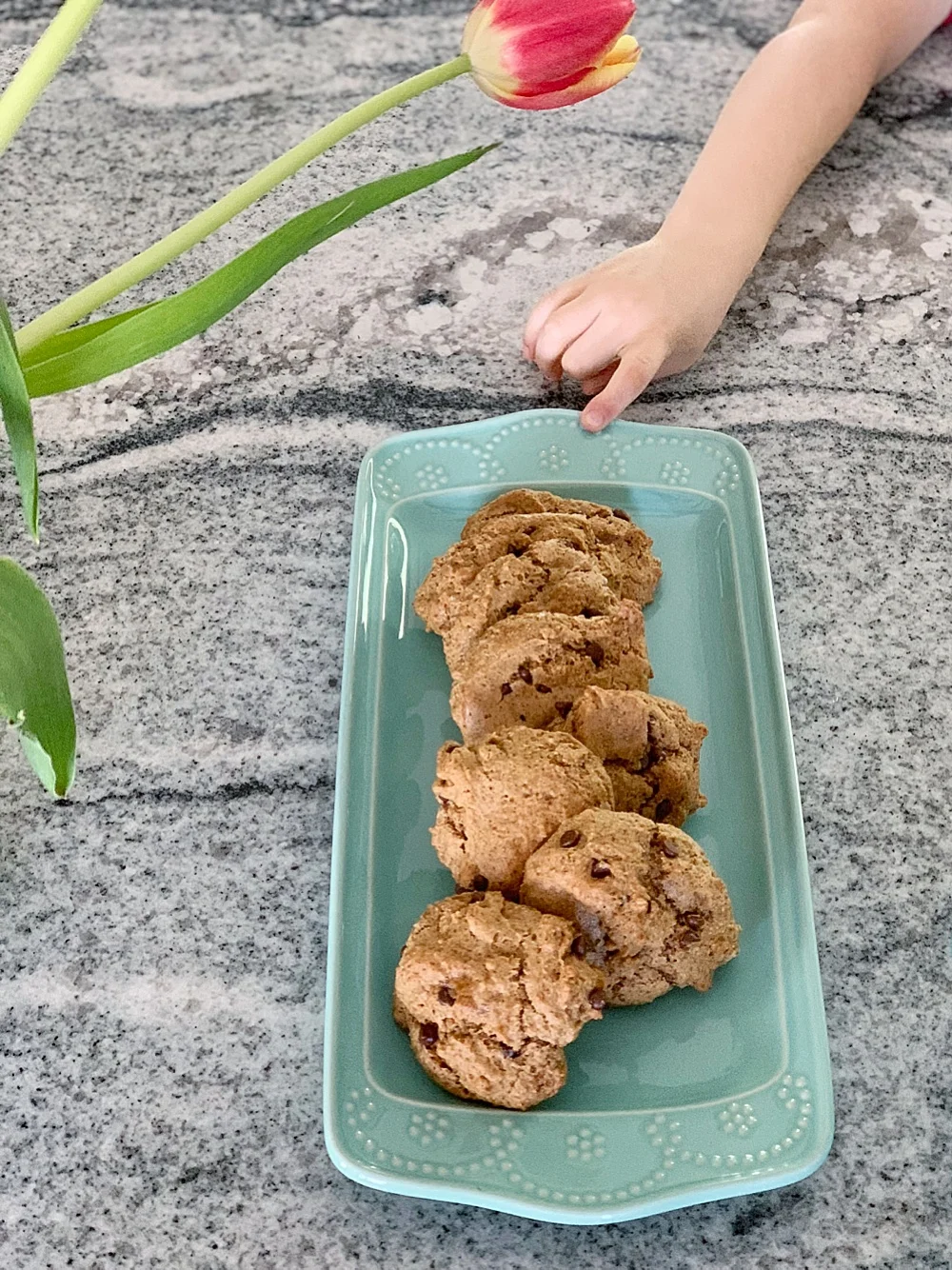 sunday-afternoon-chewie-chocolate-chip-cookie-paleo-gluten-free-dairy-free-one-bowl.jpg