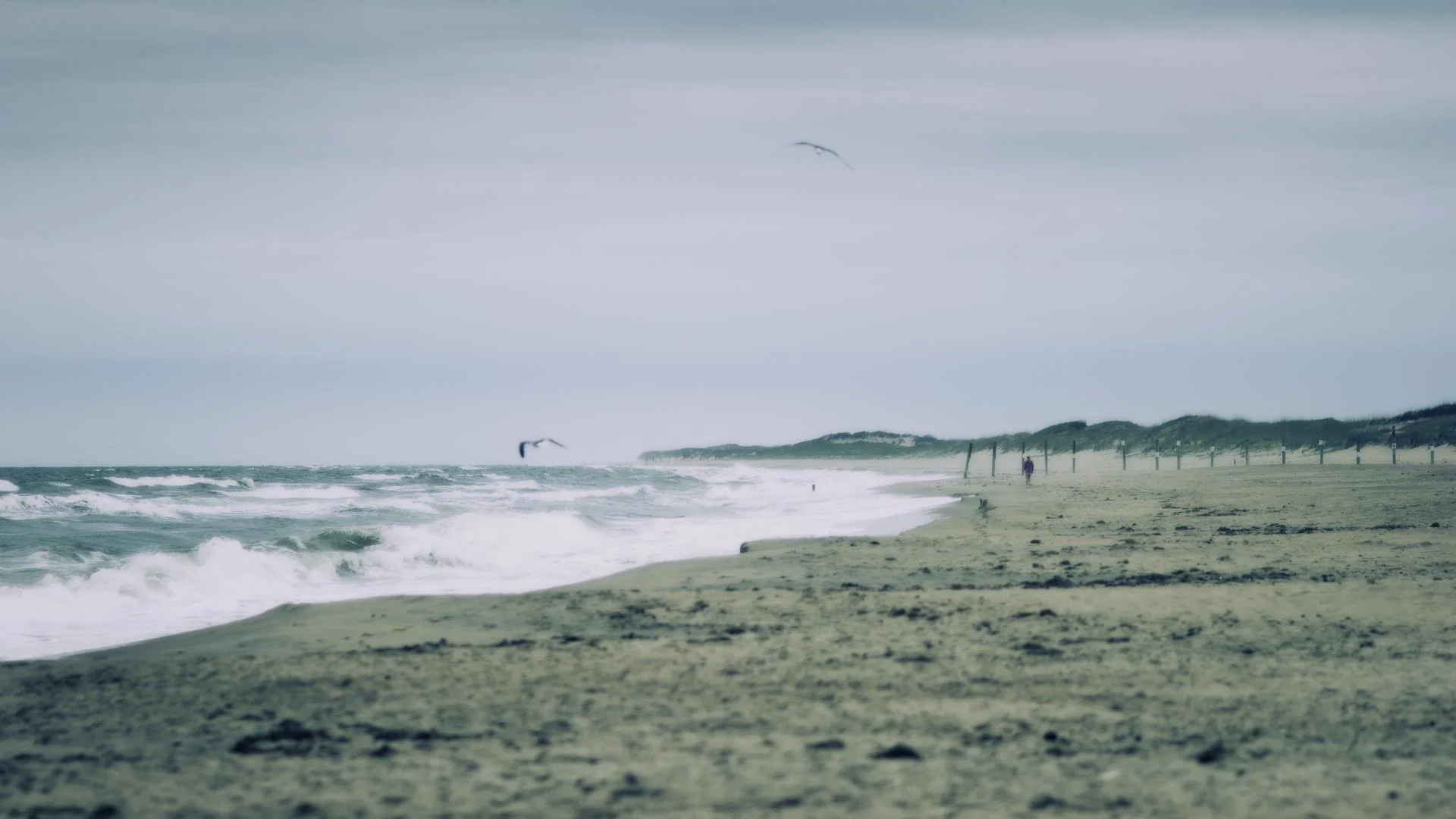 Landscapes21.jpg