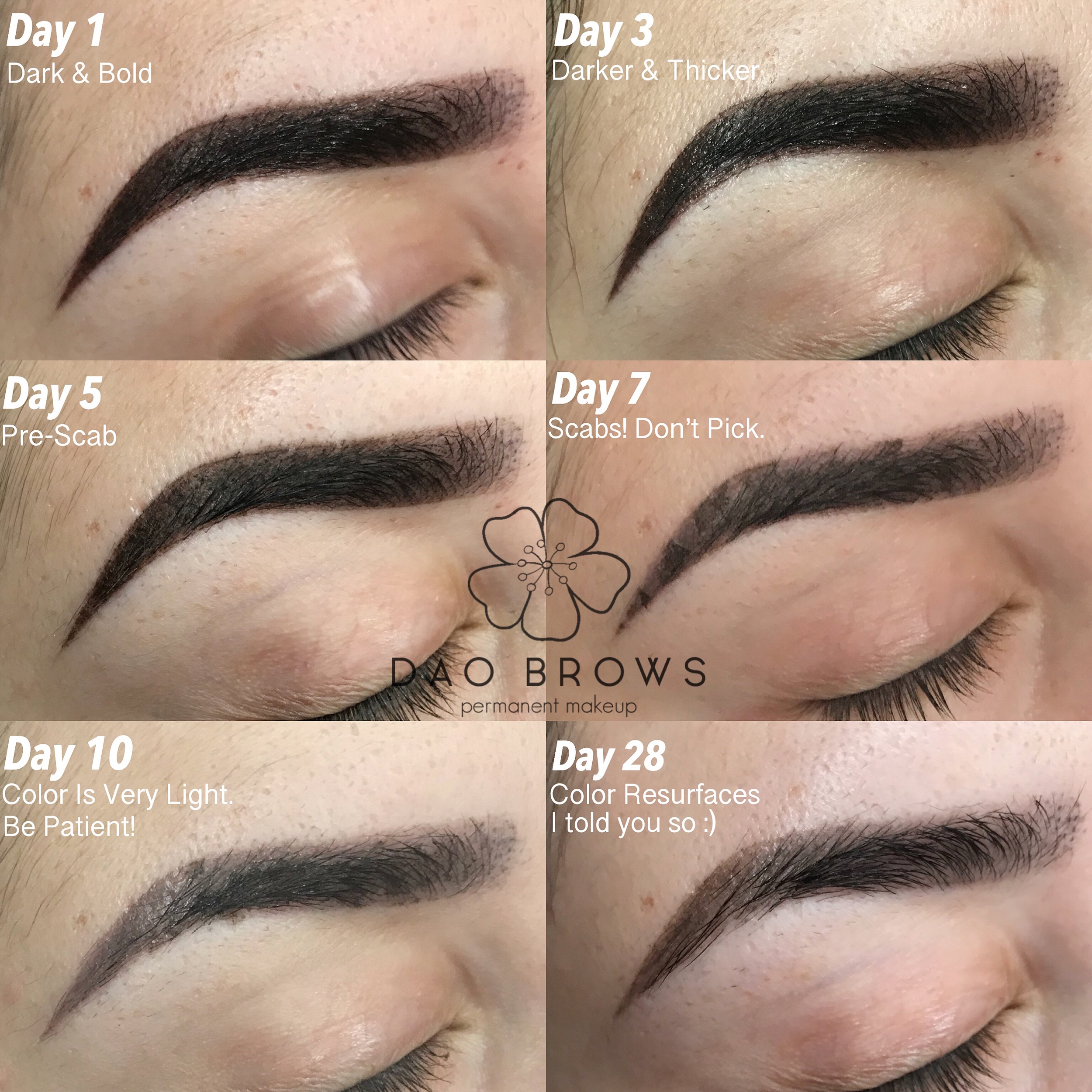 Permanent Makeup In Albuquerque - Permanent Makeup Eyebrows Healing Permanent Makeup In Albuquerque - Permanent Makeup Eyebrows Healing