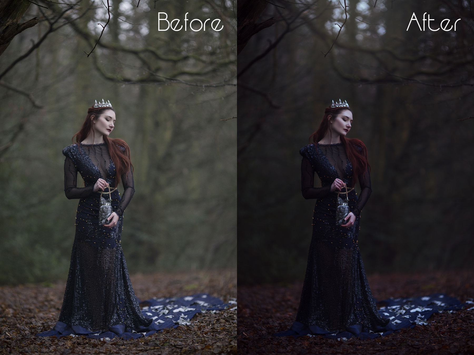 Dark Forest before after.jpg