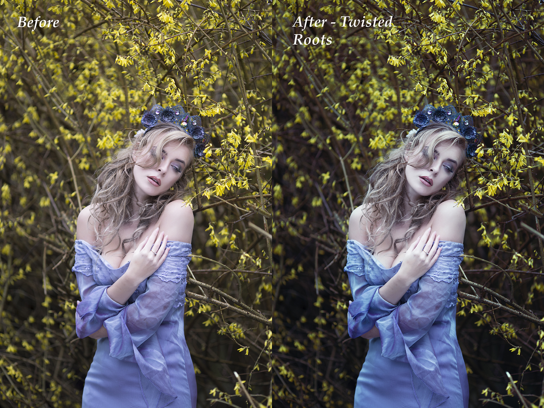 DB - Twisted roots.jpg