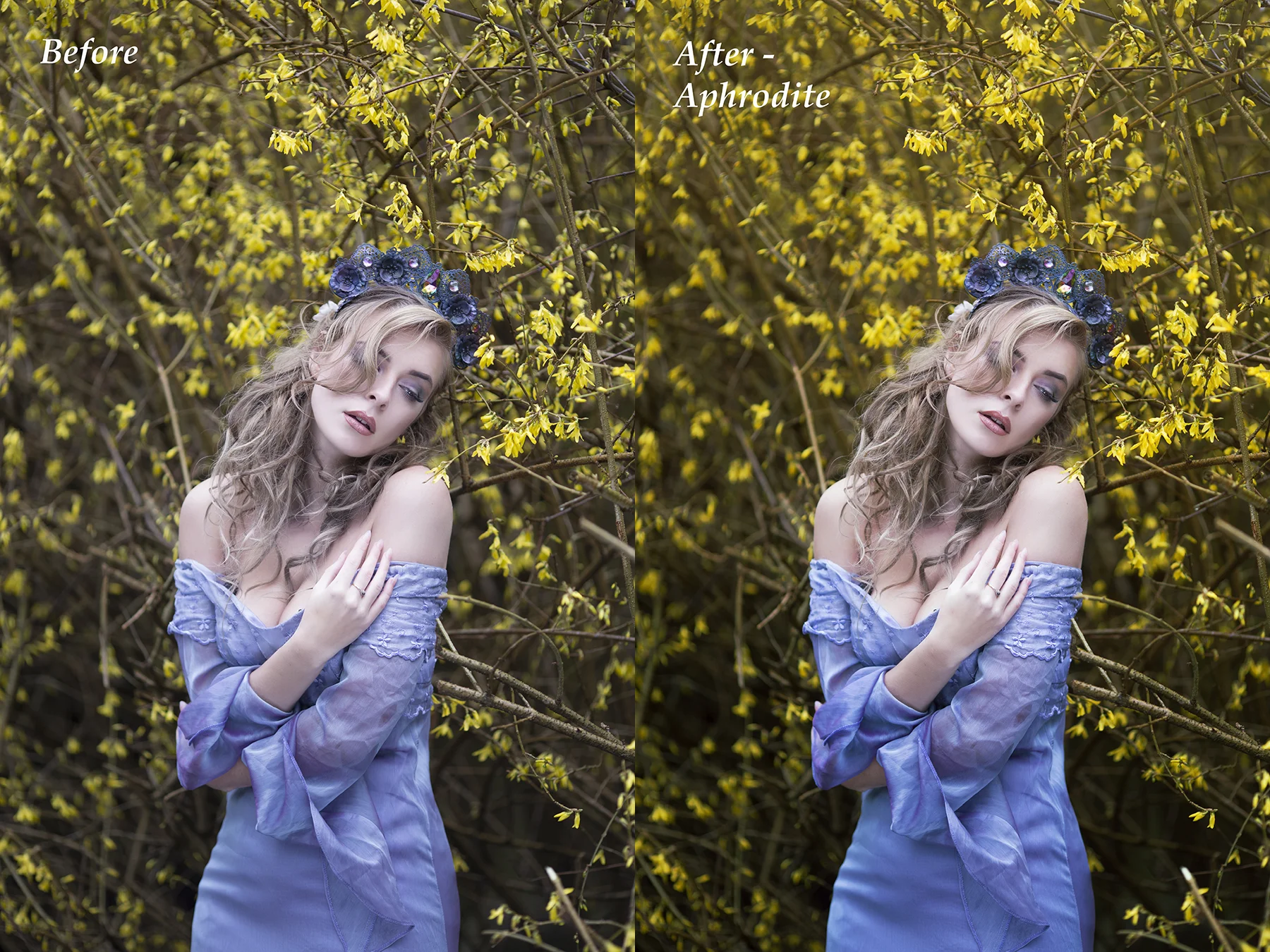 DB - Aphrodite.jpg