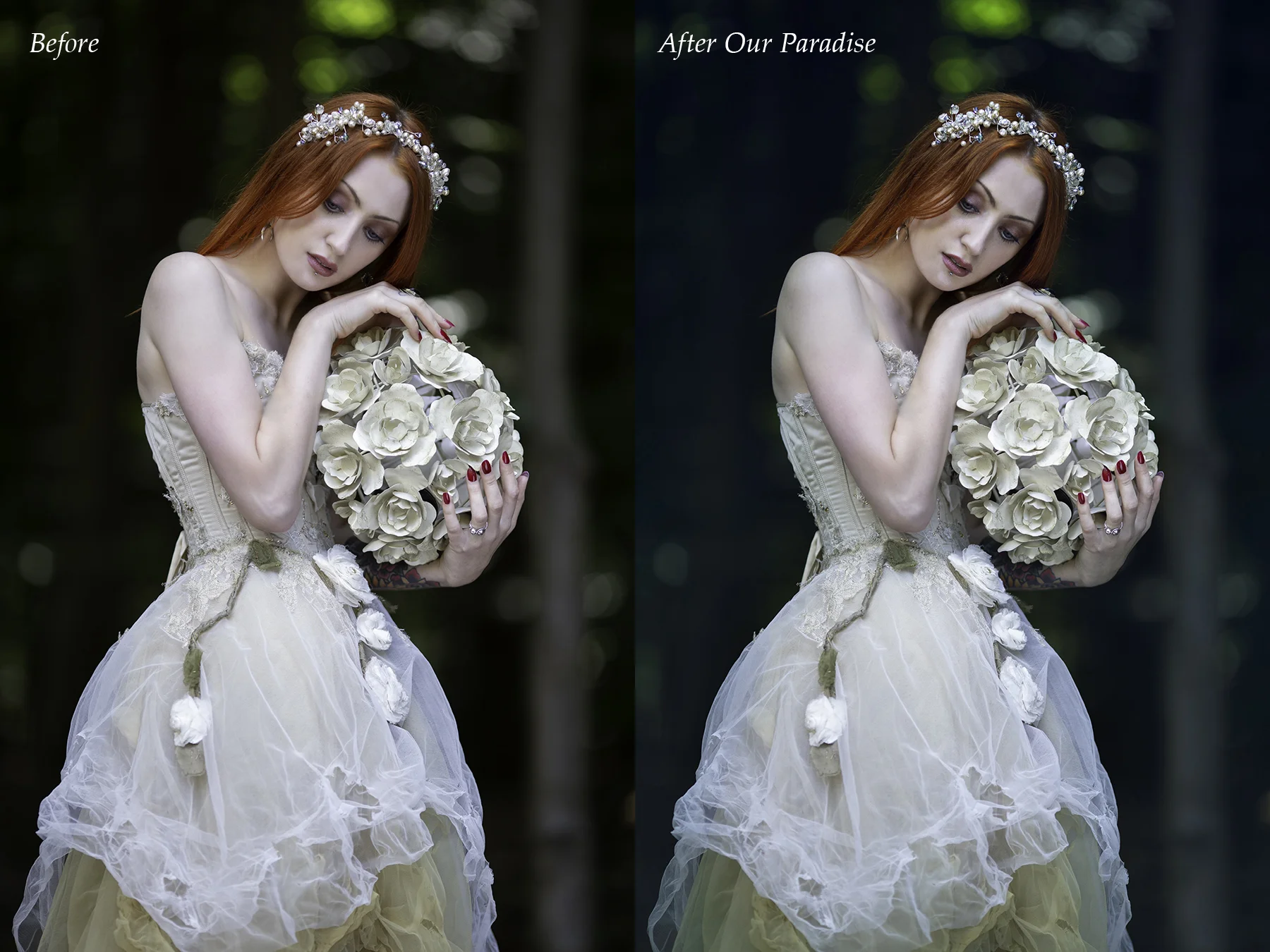 Lauren Our Paradise 2.jpg