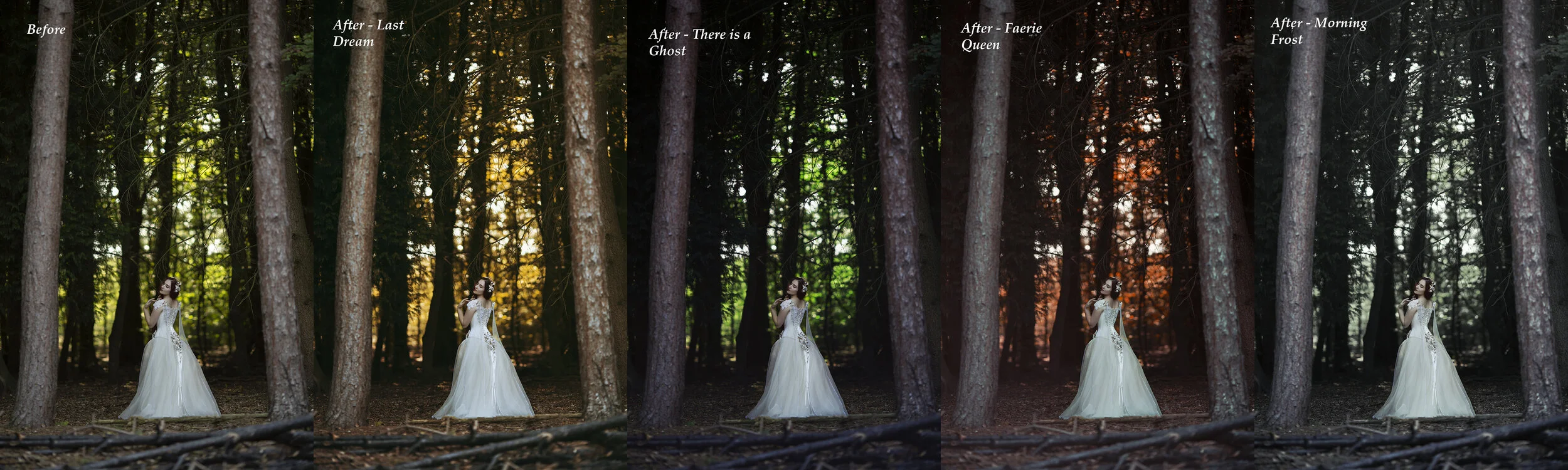 The Stuff Dreams Are Made Of Collection