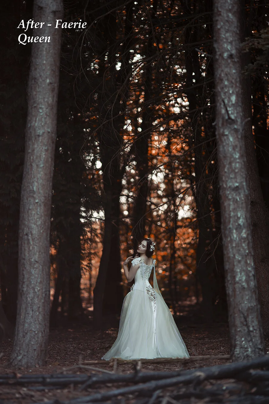 The Stuff Dreams Are Made Of - Faerie Queen.jpg