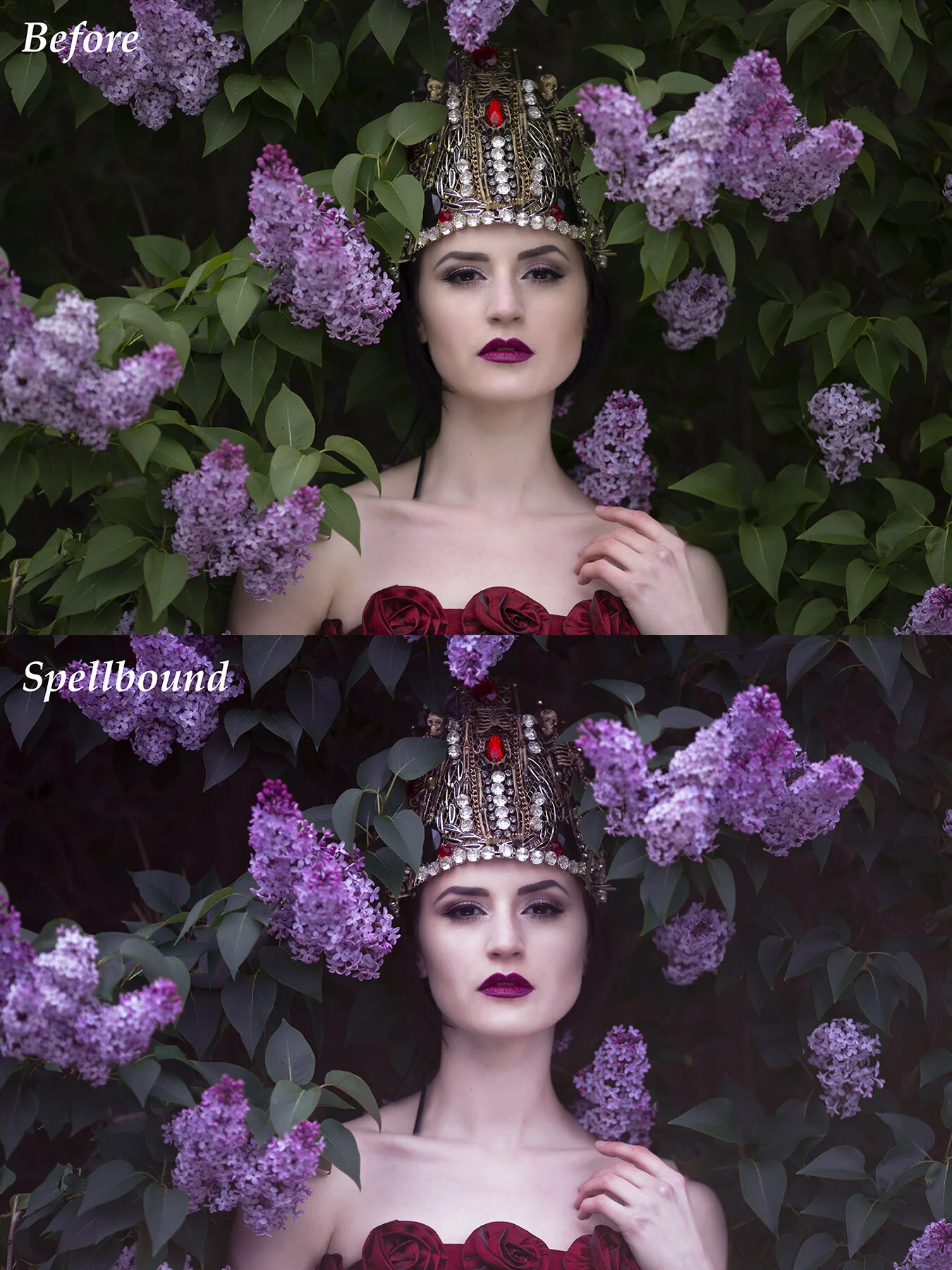 The Fairydust Collection