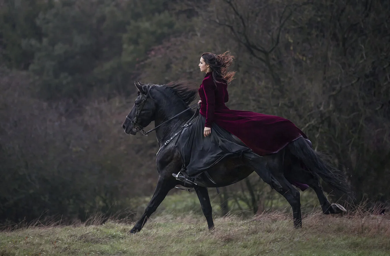 Equine Dreams by Anjelica Hyde & EJ Lazenby