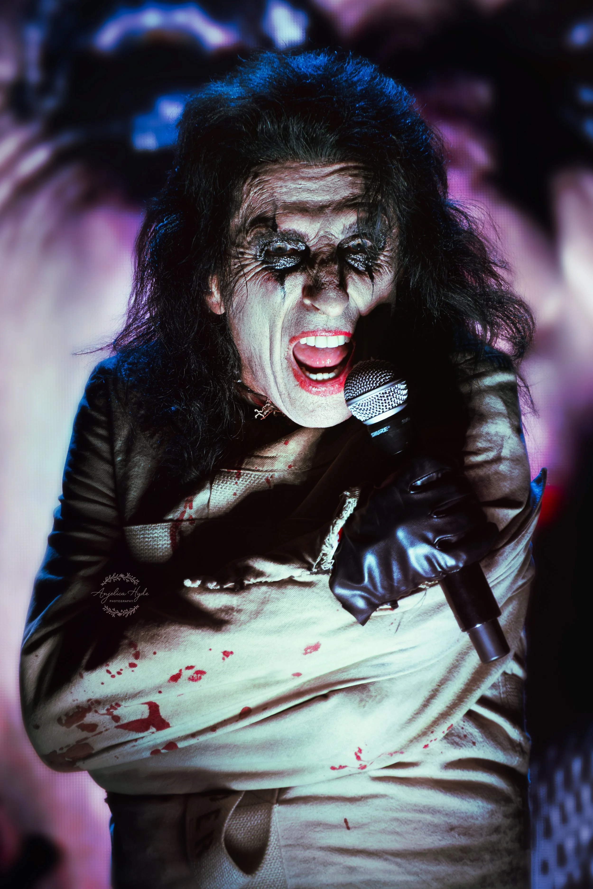 DSC02209-Edit.jpg