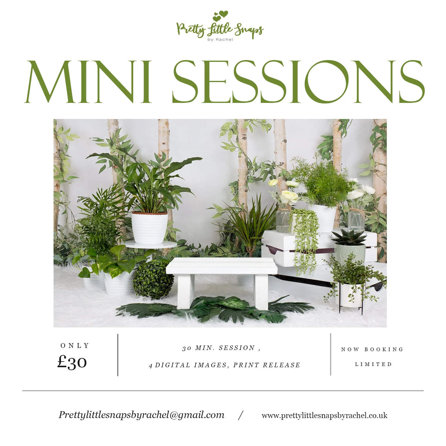 Mini sessions.jpg