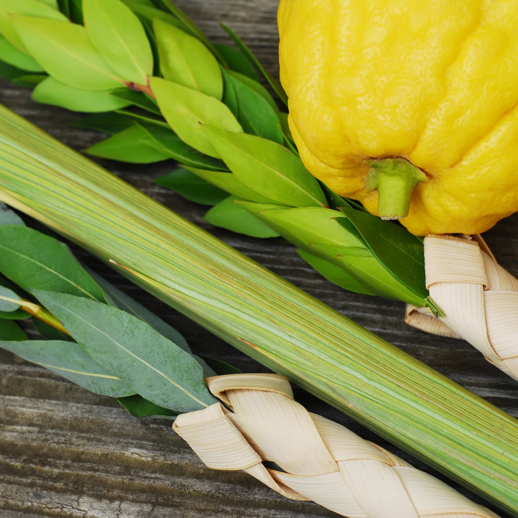 Community Sukkot Celebration