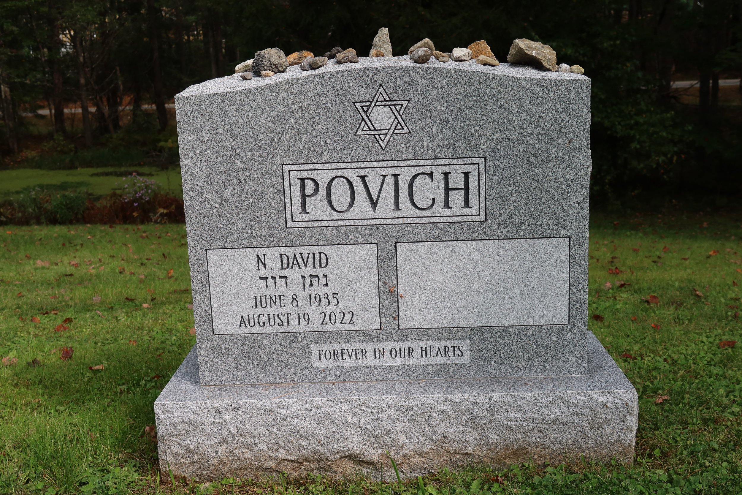 David Povich