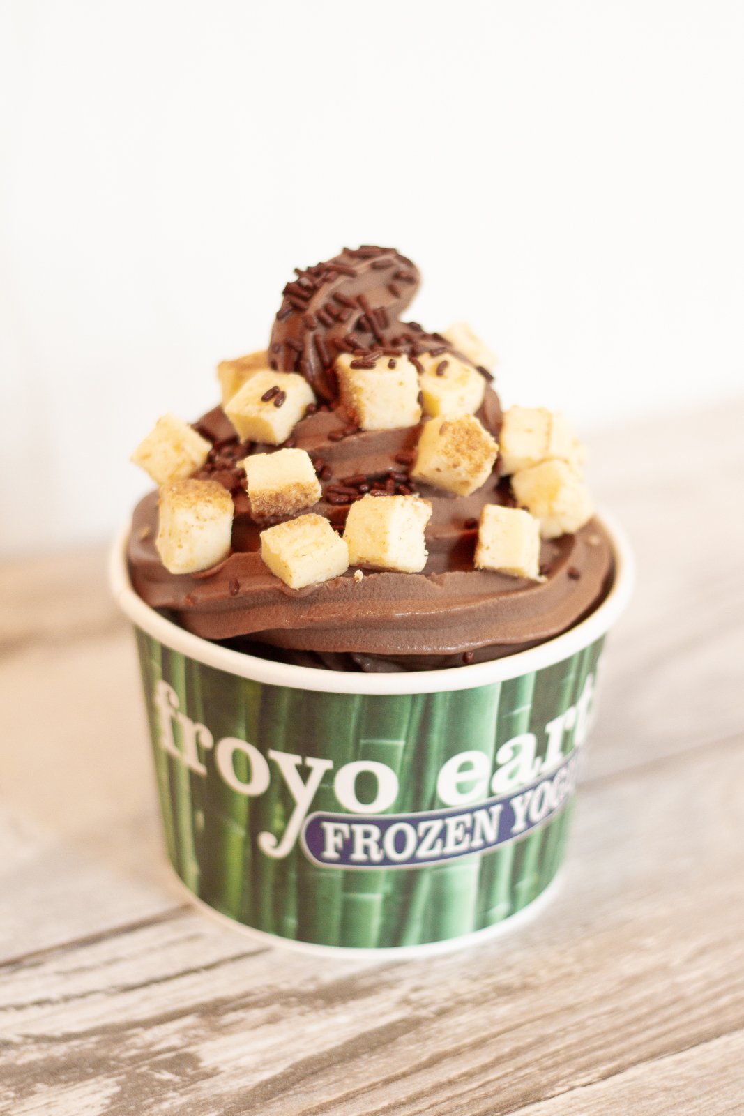 Froyo Earth Google Image 3 of 9.jpg