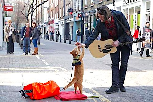 The Cute Story Of A Homeless Busker And His Cat Who Became Famous