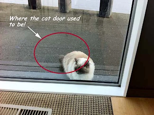 Are You A Creature Of Habit When It Comes To Playing The Lottery?