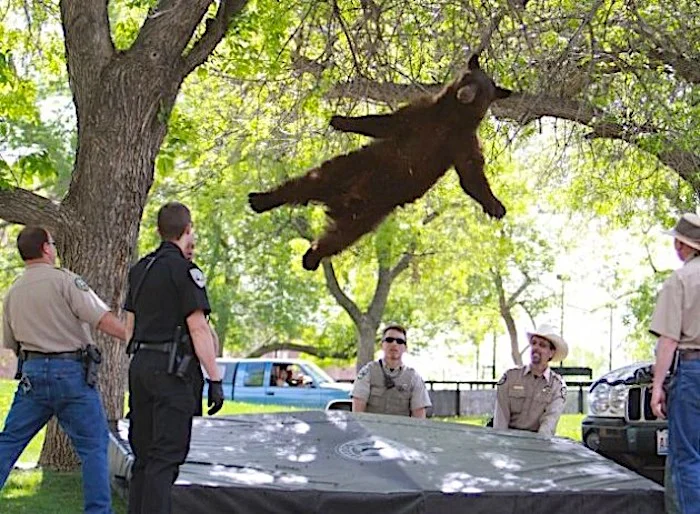 Remember these 3 golden rules for winning the lottery when you next do something dangerous