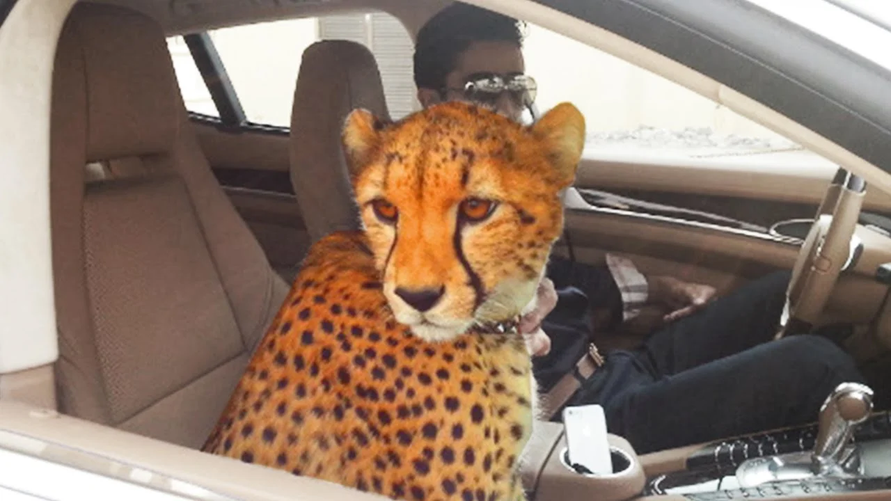 Wondering how to spend your lottery win? Start by taking a trip to Dubai