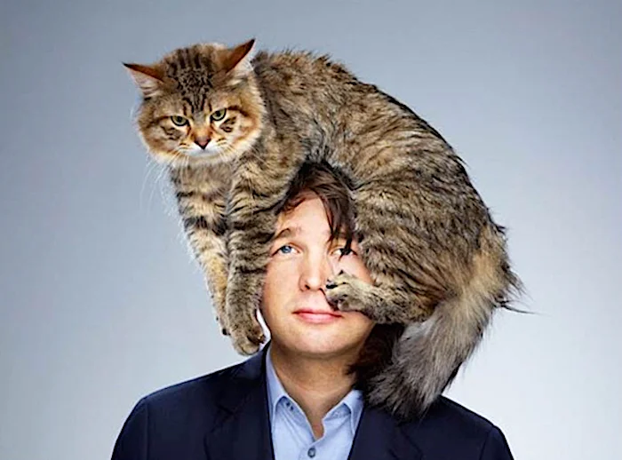 Vet Reveals Secret That Finally Stops Cats Spraying Inside
